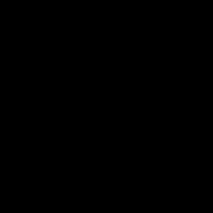 Meet your Posher, Miyah